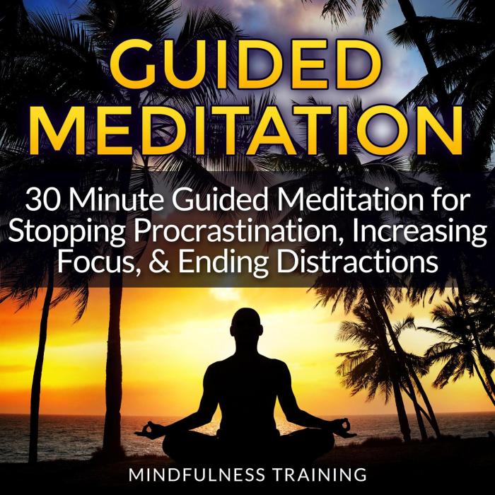 Guided meditation increasing procrastination stopping distractions minute ending focus sleep anxiety attraction relief techniques stress audiobook hypnosis relaxation imagery affirmations Guided meditation increasing procrastination stopping distractions minute ending focus sleep anxiety attraction relief techniques stress audiobook hypnosis relaxation imagery affirmations